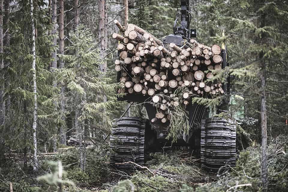 Värdefull skog för naturen samhället och företagen